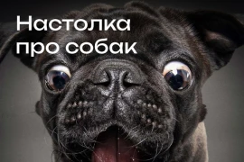Кто хороший мальчик? «Прогулки с собаками» помогут найти ответ на этот вопрос! 