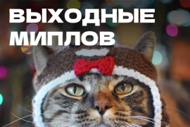 Новогодние каникулы Новогодние каникулы
