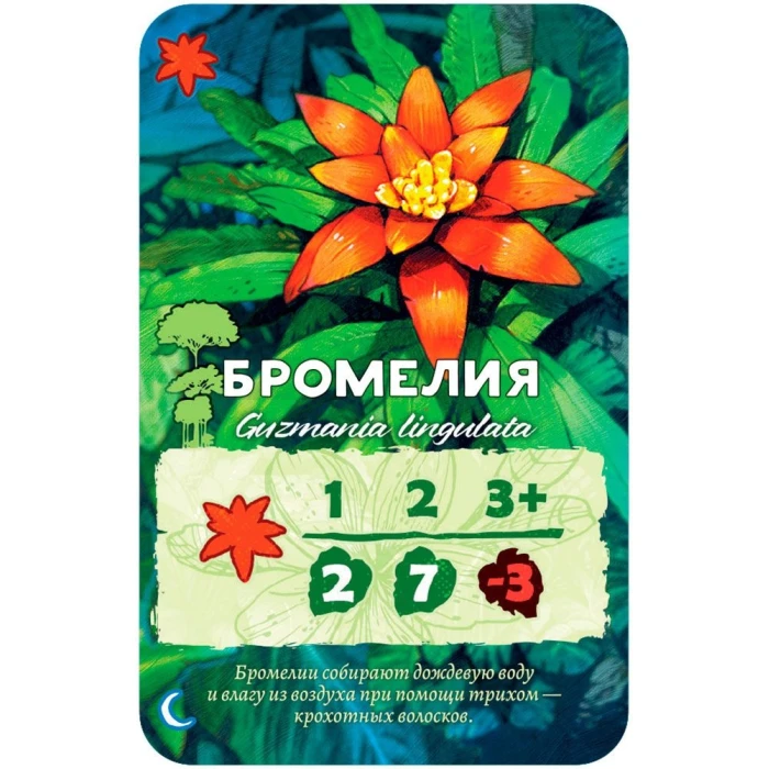 Амазония Амазония