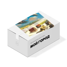 Органайзер для игры Мой Город