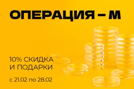 «Операция М» к 23 февраля