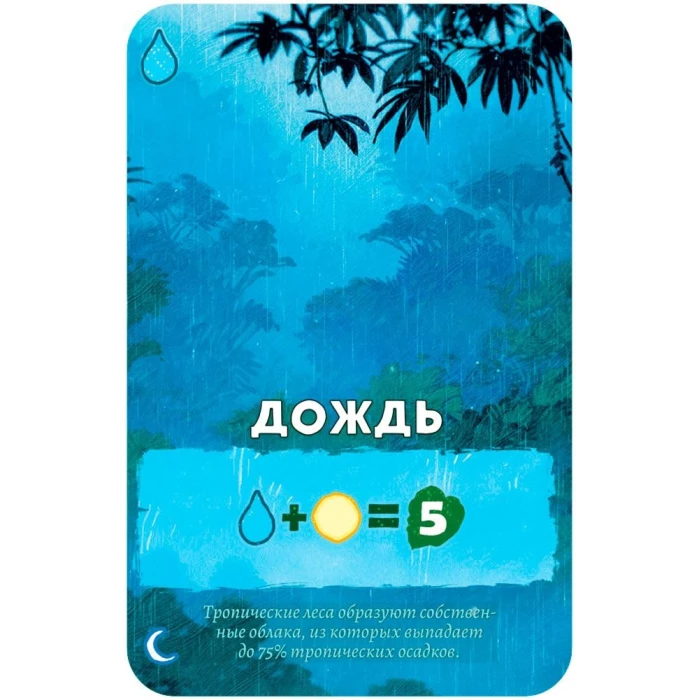 Амазония Амазония