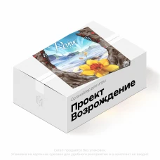 Органайзер для игры Проект Возрождение