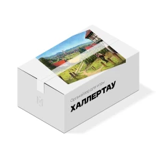 Органайзер для игры Халлертау