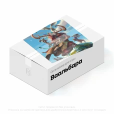 Органайзер для игры Ваальбара