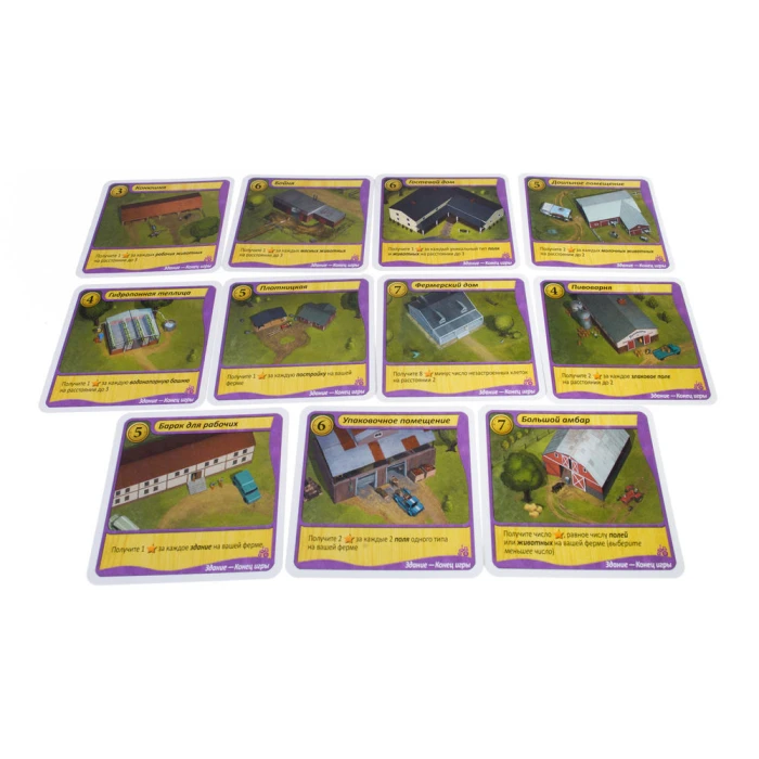 Зеленые просторы