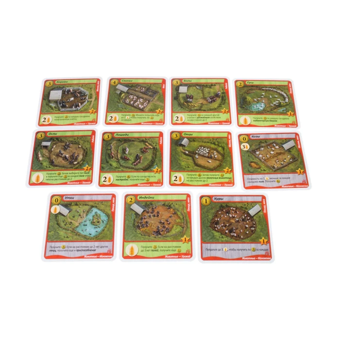 Зеленые просторы