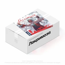Органайзер для игры Lacrimosa