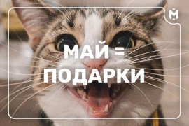 Два розыгрыша призов в Один месяц
