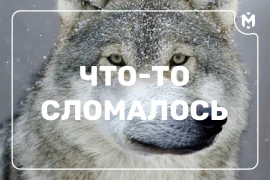 Оплата снова работает Оплата снова работает