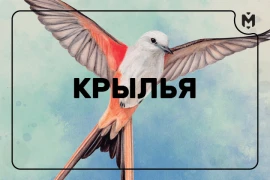 Цифровой релиз «Крыльев» Цифровой релиз «Крыльев»
