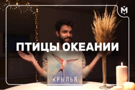 Птицы Океании — ждем новое дополнение Крыльев