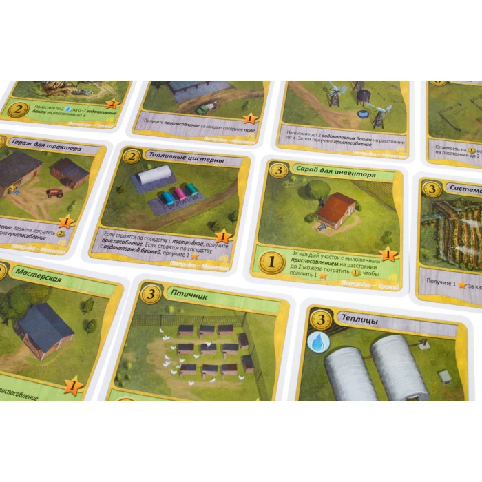 Зеленые просторы