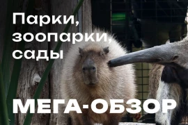 Парки, зоопарки, сады и прочие радости в настольных играх
