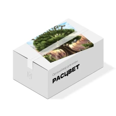 Органайзер для игры Расцвет