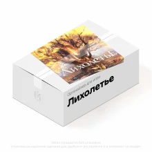 Органайзер для игры Лихолетье