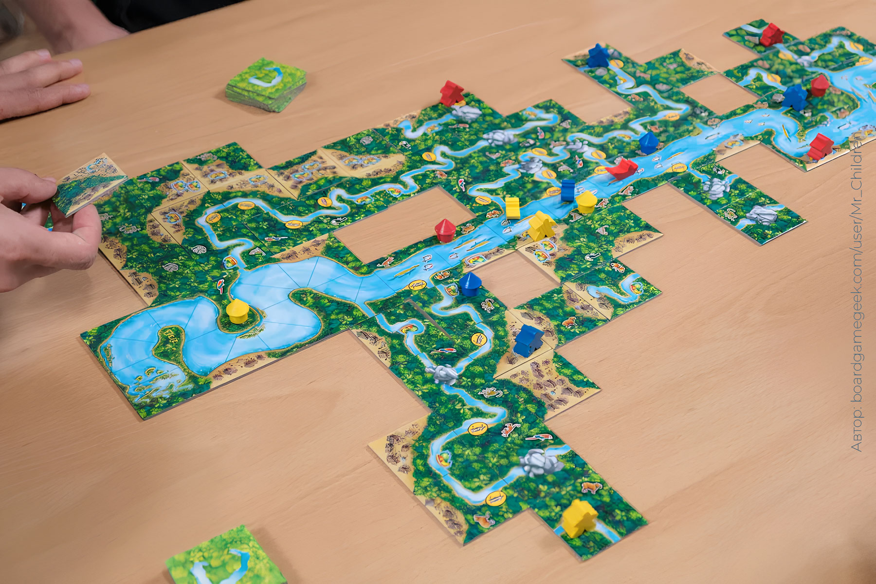 Каркассон «Амазонка» – купить в Meeple House