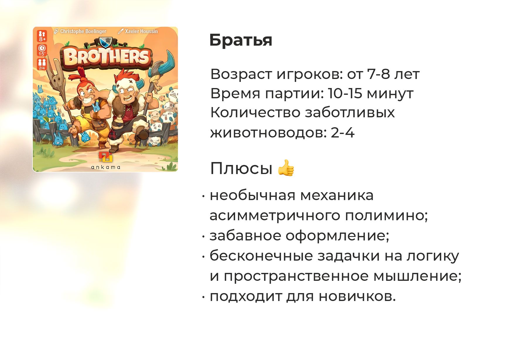 Подробный обзор настольной игры «Братья»