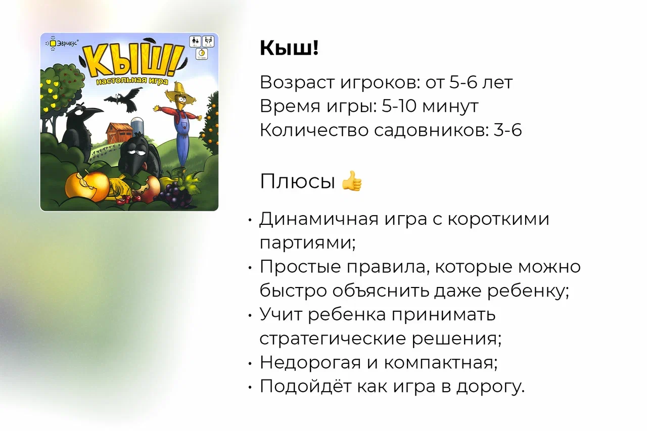 Подробный обзор настольной игры Кыш