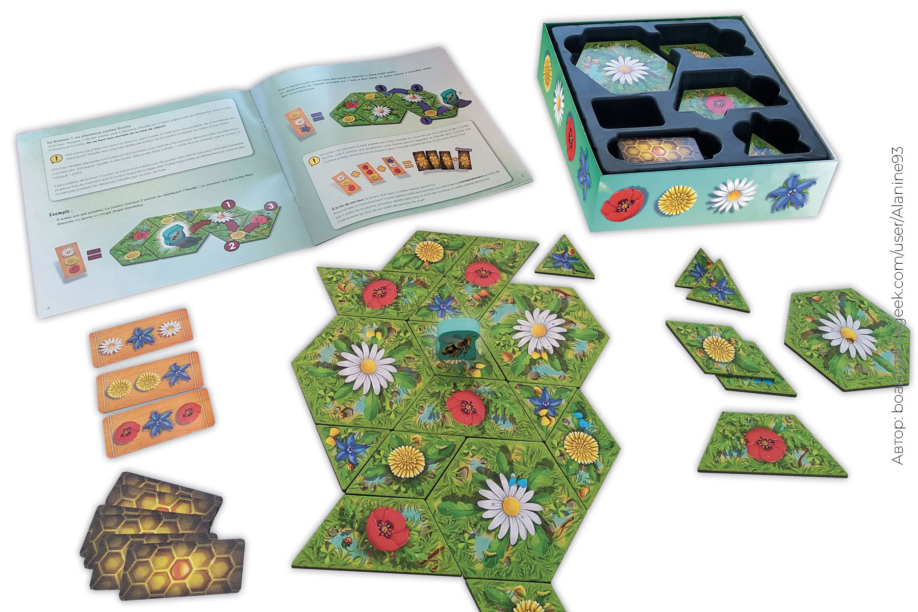 Настольная игра «Медовье» – купить в Meeple House