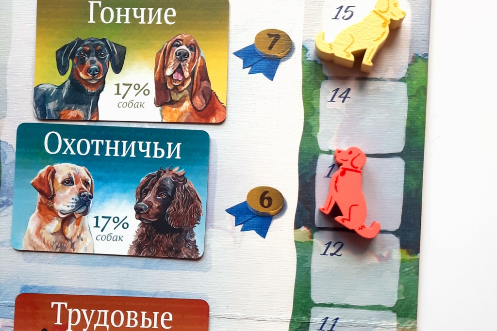 Настольная игра «Прогулки с собаками» - купить в интернет-магазине Meeple House